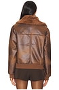 view 4 of 5 Tanya Jacket in Coffee Brown