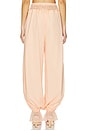 view 4 of 6 Lumi Pant in Peach