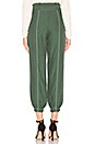 view 3 of 4 Martha Pant in Sycamore Green