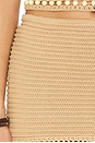 view 6 of 6 Larrin Mini Skirt in Camel