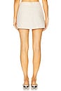 view 4 of 6 Jaxi Skirt in Natural Linen