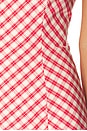 view 5 of 5 Rae Top in Red Gingham
