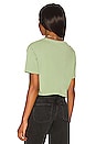 view 3 of 4 Green The Bay Tee Shirt in Sage Green