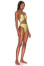 view 3 of 4 Salma One Piece in Citron