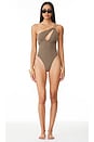 view 1 of 4 Lotti One Piece in Brown