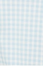 view 5 of 5 Etta Top in Blue Gingham