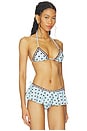 view 2 of 4 Robyn Top in Blue & Brown Dot