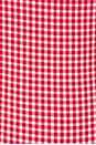 view 5 of 5 Pearla Top in Red & White Gingham