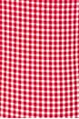view 5 of 5 Pearla Bottom in Red & White Gingham