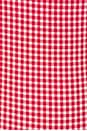 view 4 of 4 BAÑADOR PEARLA in Red & White Gingham