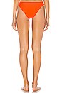 view 3 of 4 BRAGUITA BIKINI TROPIC in Citrus