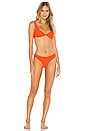 view 4 of 4 BRAGUITA BIKINI TROPIC in Citrus