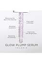 view 5 of 5 SÉRUM VISAGE GLOW PLUMP in 