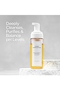 view 4 of 5 Hydro Purification Foam Cleanser in 