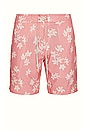 view 1 of 3 Macadamia Nut Shorts in Heather Blush