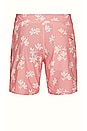 view 2 of 3 Macadamia Nut Shorts in Heather Blush