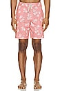 view 3 of 3 Macadamia Nut Shorts in Heather Blush
