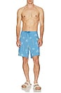 view 4 of 4 Passport Boardshort Swim Short in Pacific Coast