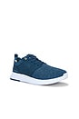 view 2 of 6 The Daily Iii Le Sneakers in Bering Sea Print