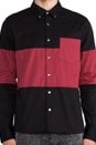 view 4 of 6 Danlly Stripe Button Down in Black/Red in Black & Red