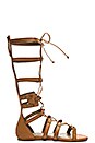 view 1 of 5 Franky Sandal in Cognac