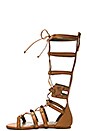 view 5 of 5 Franky Sandal in Cognac