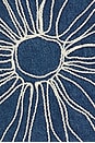 view 5 of 5 CAMISA DENIM AMANA in Bluestone