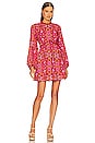 view 1 of 4 Codi Mini Dress in Rosewood Kaleidoscope Paisley