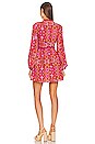 view 3 of 4 Codi Mini Dress in Rosewood Kaleidoscope Paisley
