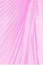 view 5 of 5 ROBE DE SOIRÉE KAYLANI in Pink Horizon