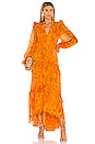 view 1 of 3 VESTIDO LARGO ALLEGRA in Persimmon Jungle