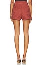 view 4 of 6 Kailana Raffia Shorts in Mahogany