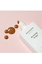 view 7 of 7 Bronzing Drops in 