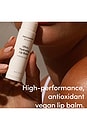 view 3 of 6 BÁLSAMO LABIAL ULTRA HYDRATING LIP BALM in Coconut