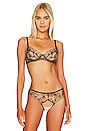 view 1 of 4 Lost Paradise Bra in Black