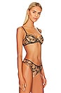 view 2 of 4 Lost Paradise Bra in Black