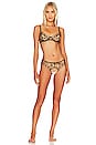 PANELLED ACTIVE BRA LOST PARADISE
