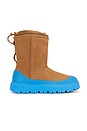view 1 of 5 Classic Short Weather Hybrid in Chestnut & Big Sky