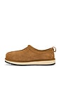 view 5 of 5 CHAUSSURES SANS LACETS TASMAN in Chestnut