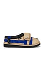 view 1 of 6 CHAUSSURES TASMAN WILDWOOD in Sand & Regal Blue