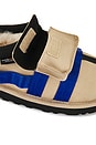 view 6 of 6 CHAUSSURES TASMAN WILDWOOD in Sand & Regal Blue