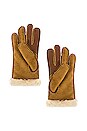 view 2 of 2 GANTS EXPOSED CURVE SEAM GLOVE in Chestnut