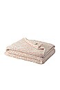 view 1 of 2 Eloise Throw in Wood Rose