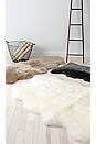 view 2 of 2 TAPIS AREA SHEEPSKIN in Natural