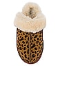 view 4 of 5 Scuffette II Leopard Slipper in Natural