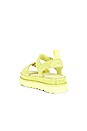 view 3 of 5 Goldenstar Sandal in Lemon Lime
