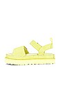 view 5 of 5 Goldenstar Sandal in Lemon Lime