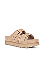 view 2 of 5 GOLDENSTAR HI SLIDE サンダル in Sand