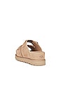 view 3 of 5 GOLDENSTAR HI SLIDE サンダル in Sand