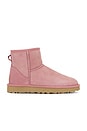 view 1 of 5 Classic Mini II Boot in Pink Dawn